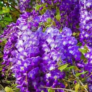 Meet your Posher, Lynn